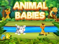 Animal babies